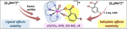 Pivotal Role of Salicylates in Tuning the Formation and Reactivity of Mn(V)=O's