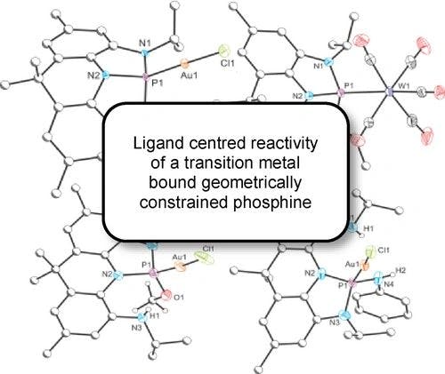 Ligand Centered Reactivity of a Transition Metal Bound Geometrically Constrained Phosphine