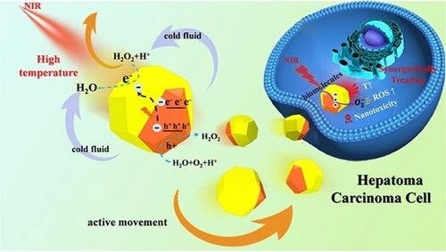 NIR‐Mediated Cu2O/Au Nanomotors for Synergistically Treating Hepatoma Carcinoma Cells