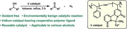 Dehydrogenative Oxidation of Alcohols by Reusable Iridium Catalysts with a Cooperative Polymer Ligand