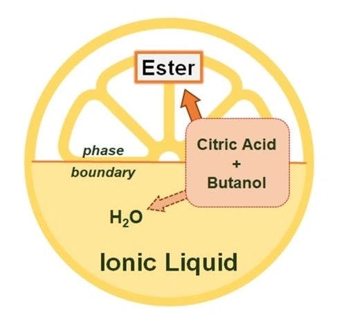 Water‐Doped Brønsted Acidic Protic Ionic Liquids for Enhanced Tributyl Citrate Synthesis in a Two‐Phase Esterification System