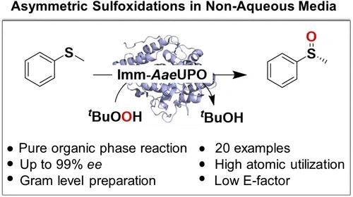 Peroxygenase‐Catalysed Sulfoxidations in Non‐Aqueous Media