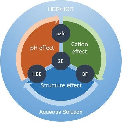 Through the interface: New insights of the hydrogen evolution and oxidation reactions in aqueous solutions