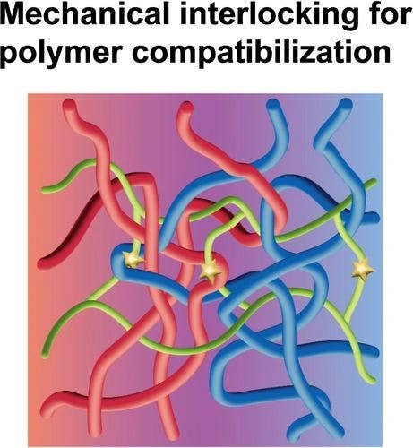A Vitrimer Acts as a Compatibilizer for Polyethylene and Polypropylene Blends