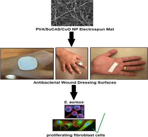 Potential Wound Dressing with Antibacterial Effect from Cross‐Linked Polyvinyl Alcohol/Sodium Caseinate/CuO NP Electrospun Mat