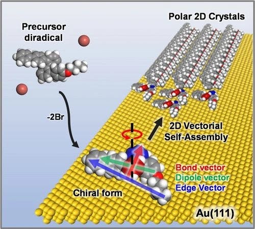 On‐Surface Fabrication toward Polar 2D Macromolecular Crystals