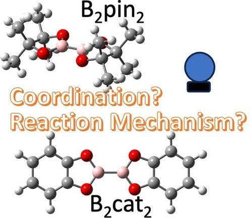 A Computational Study of Photoinduced Borylation for Selected Boron Sources