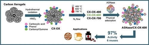 Improved L‐Asparaginase Properties and Reusability by Immobilization onto Functionalized Carbon Xerogels