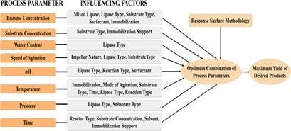 Process Parameters Influence Product Yield and Kinetic Parameters in Lipase Catalysis