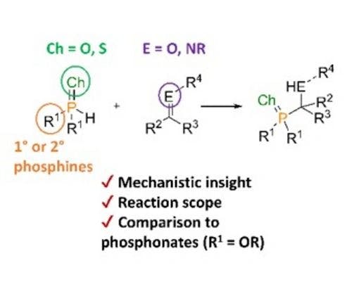 Hydrophosphorylation of C=O/N Bonds Using Organophosphine Oxides or Sulfides