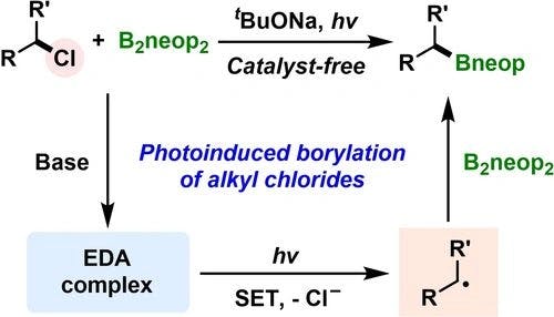 Photoinduced Radical Borylation of Alkyl Chlorides