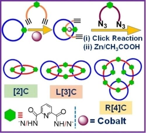 Template Assisted One‐Pot Synthesis of [2], Linear [3], and Radial [4]Catenane via Click Reaction