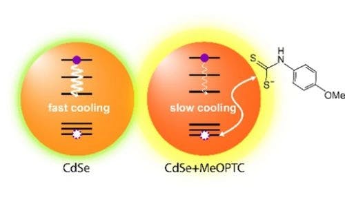 Slowing Hot Electron Cooling in CdSe Quantum Dots Using Electron‐Rich Exciton‐Delocalizing Ligands