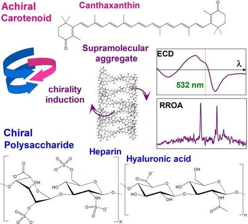 Induced Chirality in Canthaxanthin Aggregates Reveals Multiple Levels of Supramolecular Organization