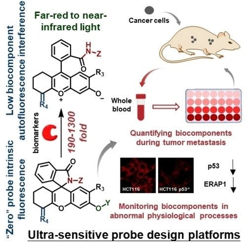 “Zero” Intrinsic Fluorescence Sensing‐Platforms Enable Ultrasensitive Whole Blood Diagnosis and In Vivo Imaging