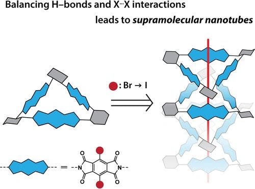Leveraging Halogen Interactions for a Supramolecular Nanotube