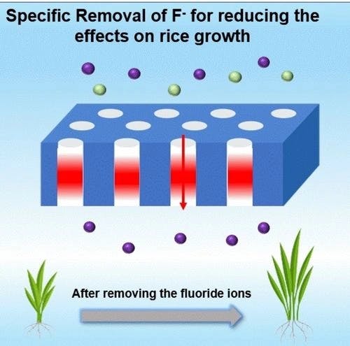 Selectively Transport and Removal of Fluoride Ion by Pillar[5]Arene Polymer‐Filled Nanochannel Membrane