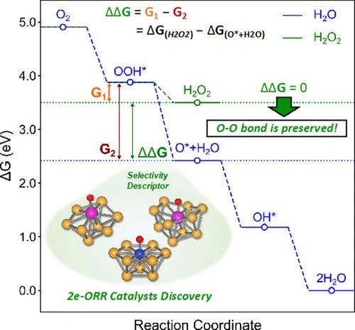 Validating ΔΔG Selectivity Descriptor for Electrosynthesis of H2O2 from Oxygen Reduction Reaction