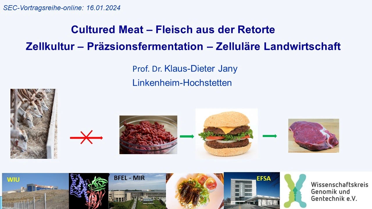 Cultured Meat – Fleisch aus der Retorte: Von der Stammzelle zum strukturierten Fleischstück