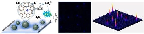 Electrogenerated Chemiluminescence Imaging of Single‐Atom Nanocatalysts