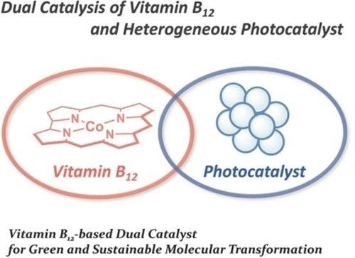 Green Molecular Transformation in Dual Catalysis: Photoredox Activation of Vitamin B12 Using Heterogeneous Photocatalyst