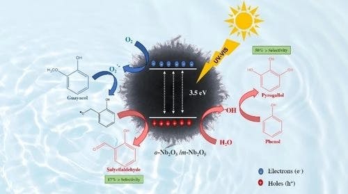Role of Nb2O5 Crystal Phases on the Photocatalytic Conversion of Lignin Model Molecules and Selectivity for Value‐Added Products