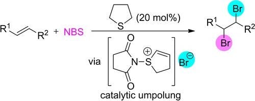 Thiophane‐Catalyzed Umpolung of N‐Bromoimides for Dibromination of Olefins