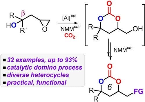 Catalytic Domino Three‐Component Synthesis of Functionalized Heterocycles from Carbon Dioxide