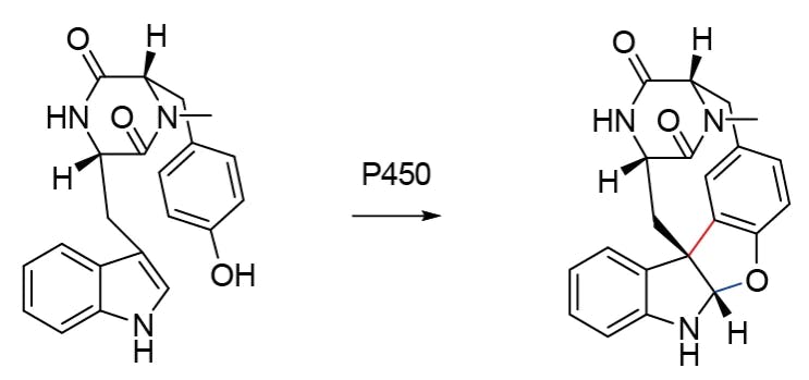 Biosynthese eines Indolalkaloids