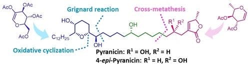 Stereoselective Total Synthesis of Pyranicin and 4‐Epi‐Pyranicin from Carbohydrate Precursors