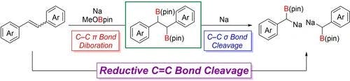 Sodium‐Mediated Reductive C−C Bond Cleavage Assisted by Boryl Groups