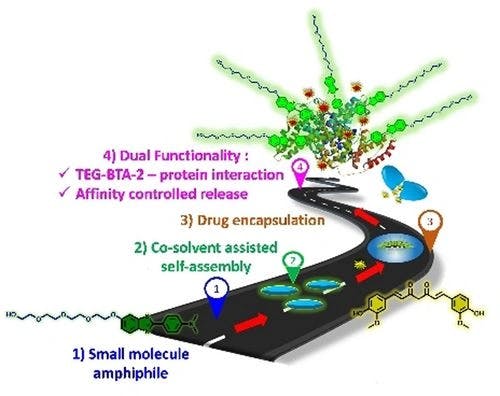 Dual Functional Microcapsule based on Monodisperse Short PEG Amphiphile for Drug Encapsulation and Protein Affinity Controlled Release