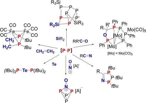 Intermolecular Insertion Reactions into the P−P Bond of Oligophosphorus Compounds