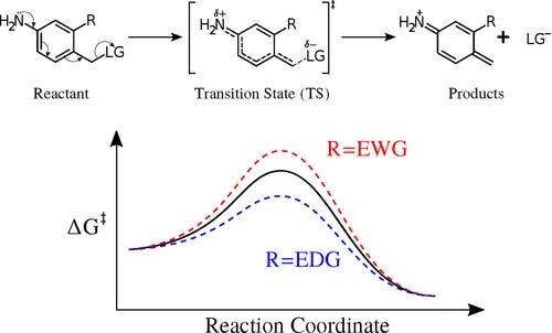 A Computational Perspective on the Reactivity of π‐spacers in Self‐Immolative Elimination Reactions