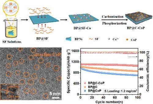 Efficient Host Materials for Lithium‐Sulfur Batteries: Ultrafine CoP Nanoparticles in Black Phosphorus‐Carbon Composite