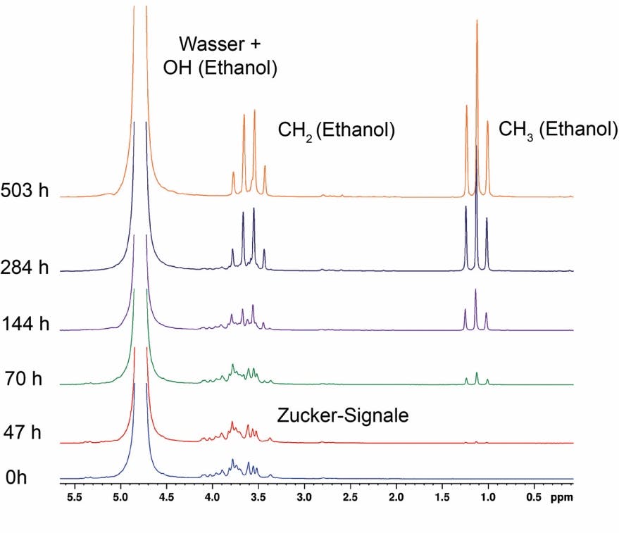 NMR‐Spektroskopie in der Lehramtsausbildung