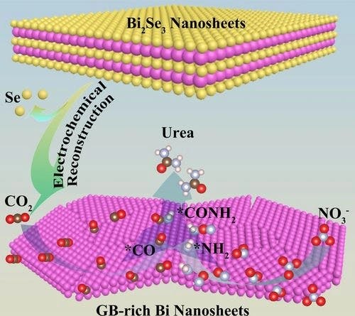 Dynamic Reconstruction of Two‐Dimensional Defective Bi Nanosheets for Efficient Electrocatalytic Urea Synthesis