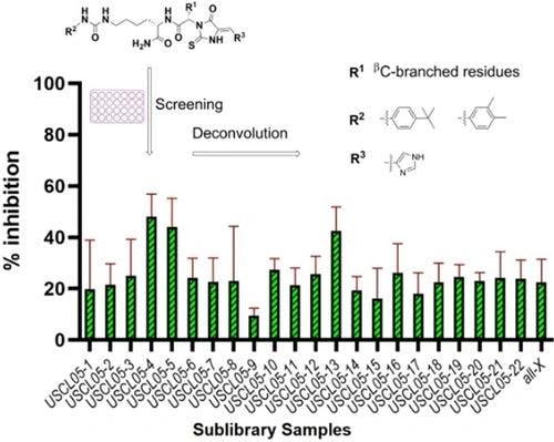 Synthesis and Identification of Heterobivalent Anticancer Compounds Containing Urea and 5‐Arylidene‐2‐Thiohydantoin Motifs