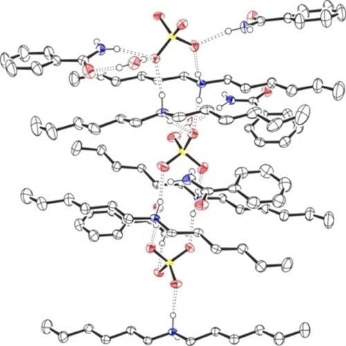 Epoxidation of Olefins Catalyzed by Sulfate‐based Supramolecular Ion Pairs