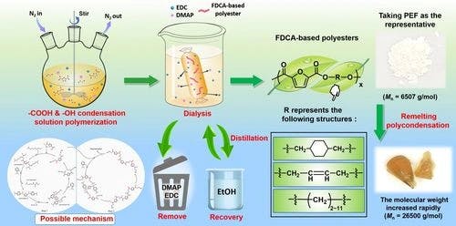 −COOH & −OH Condensation Reaction Utilization for Biomass FDCA‐based Polyesters