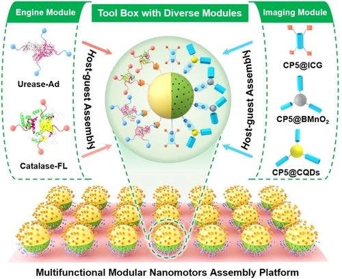 Supramolecular Modular Assembly of Imaging‐Trackable Enzymatic Nanomotors